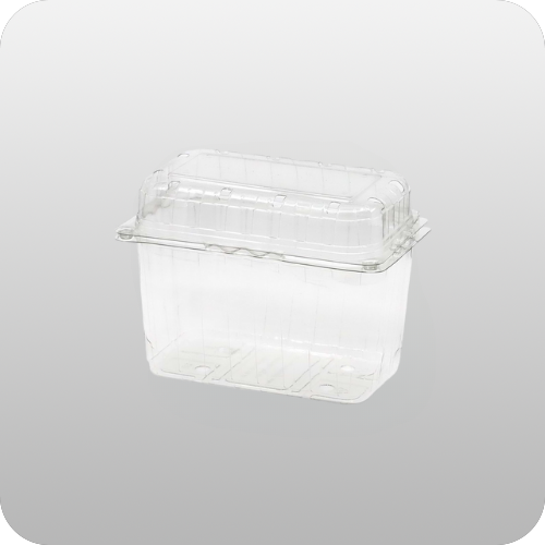 1000 GR KAPAKLI ŞALE KABI