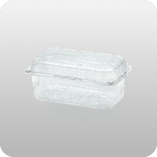 500 GR KAPAKLI ŞALE KABI